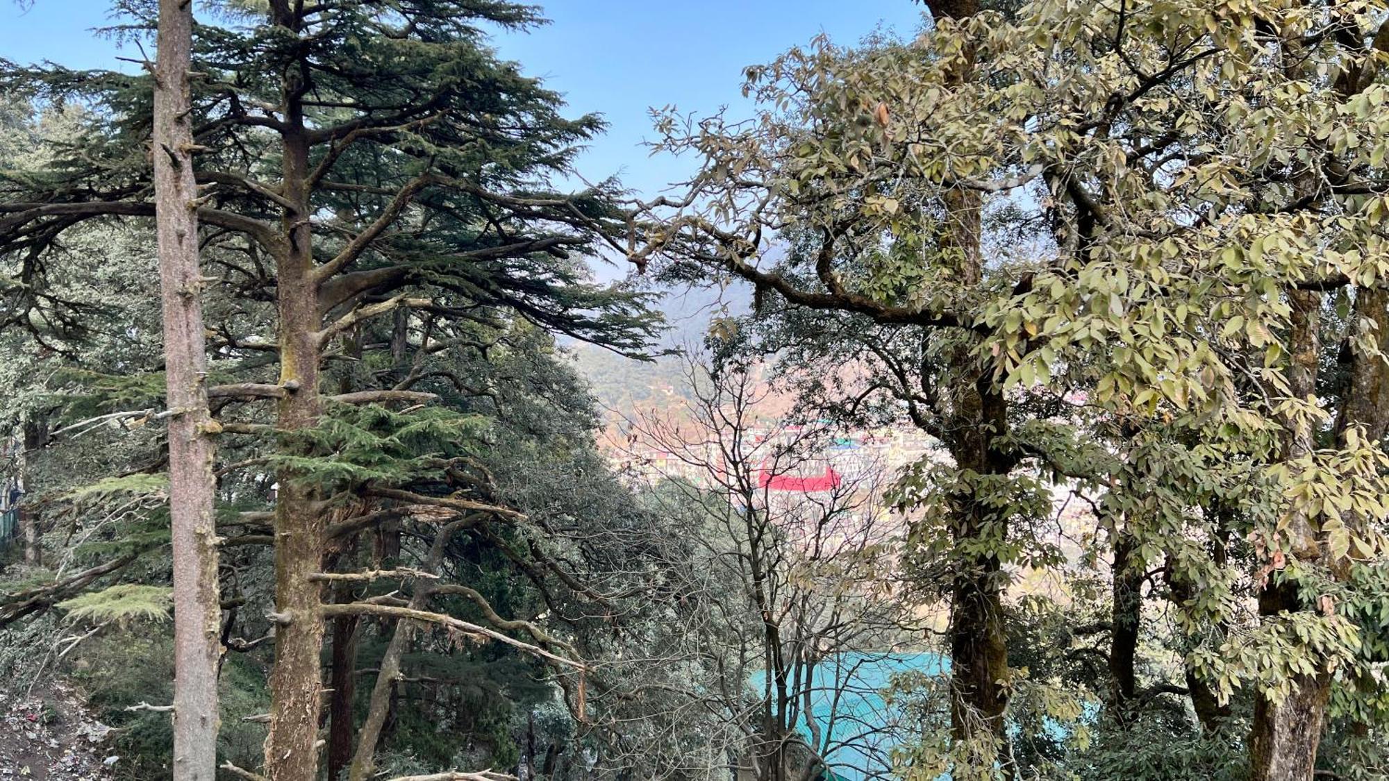 Hotel Pride Inn - 800 Mts From Mall Road Mussoorie Exterior photo